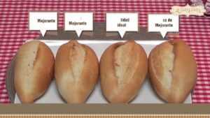 ¿Cómo sustituir el mejorante para pan?