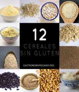 ¿Cuáles son los cereales que no contienen gluten?