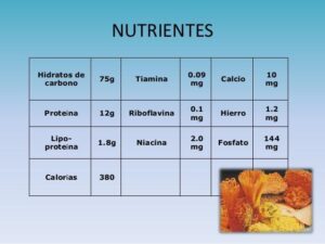 ¿Cuáles son los nutrientes de la pasta?