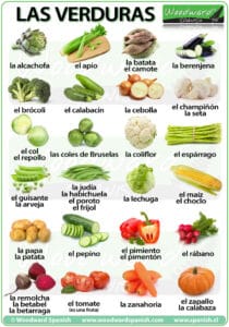 ¿Cuáles son todas las verduras?