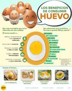 ¿Qué beneficios tiene comer huevo todos los dias?