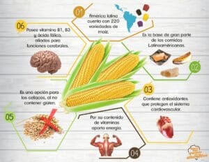 ¿Qué funcion tiene el maiz en el organismo?