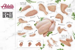 ¿Cuál es la pierna y cual es el pernil del pollo?
