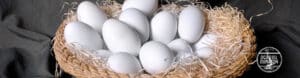 ¿Qué propiedades tiene los huevos de oca?