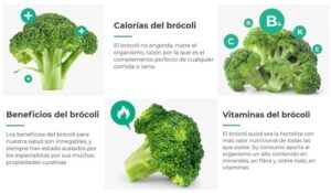 ¿Qué vitaminas y proteinas tiene el brocoli?