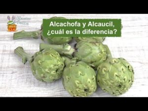Diferencia entre alcauciles y alcachofas