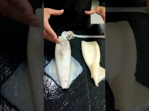 Diferencia entre calamar y pota