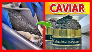 Diferencia entre hueva y caviar